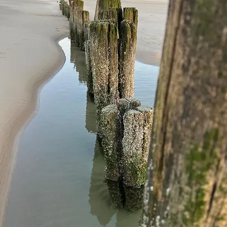 Egmond