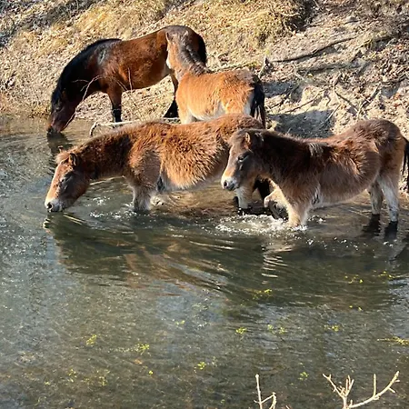 Hébergement de vacances Egmond *