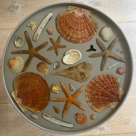 Egmond Hébergement de vacances