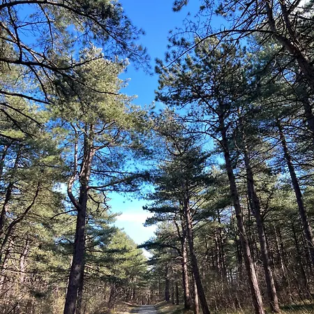 Egmond * Egmond aan den Hoef