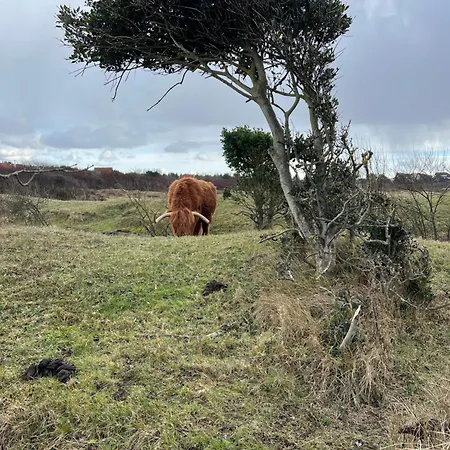 Egmond Casa de Férias Egmond aan den Hoef